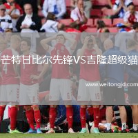 芒特甘比爾先鋒VS吉隆超級貓