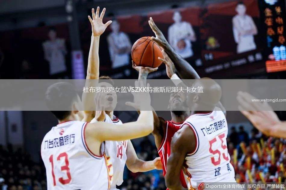 杜布羅尼克女籃VSZKK特雷斯尼耶夫卡女籃