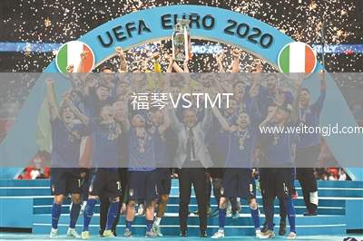 福琴VSTMT