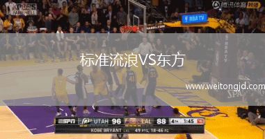 標準流浪VS東方