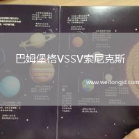 巴姆堡格VSSV索尼克斯