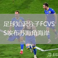 足球知識分子FCVS埃布蘇海角海岸