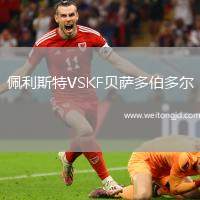 佩利斯特VSKF貝薩多伯多爾