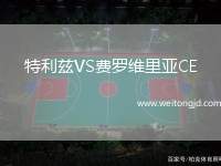 特利茲VS費(fèi)羅維里亞CE