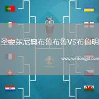圣安東尼奧布魯布魯VS布魯明