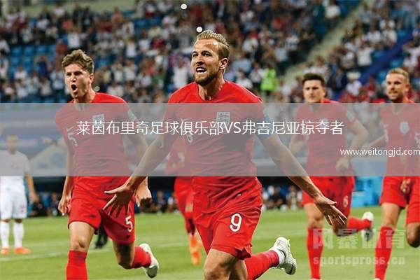 萊茵布里奇足球俱樂部VS弗吉尼亞掠奪者