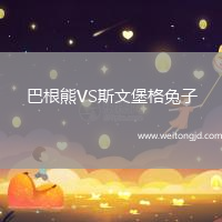 巴根熊VS斯文堡格兔子