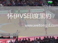 懷伊VS印度黑豹