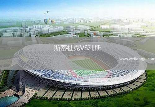 斯蒂杜克VS利斯
