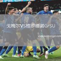 戈梅爾VS格羅德諾GrSU