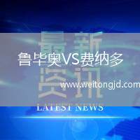 魯畢奧VS費納多