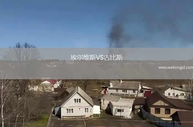 埃爾維斯VS古比斯