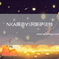 NKA佩奇VS阿斯薩法特