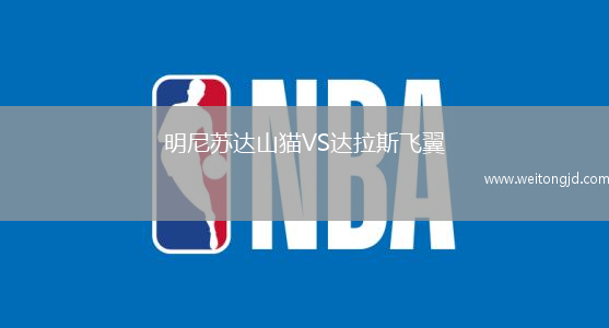 明尼蘇達山貓VS達拉斯飛翼