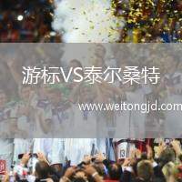 游標VS泰爾桑特