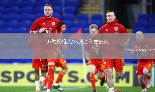 蘇勒約維克VS波蘭利茲巴克