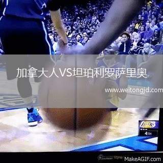 加拿大人VS坦珀利羅薩里奧