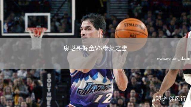 奧塔哥掘金VS泰萊之鷹