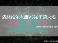 森林維爾老鷹VS諾伍德火焰