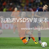 瓦勒恩VSDSV萊奧本