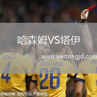 哈森姆VS塔伊