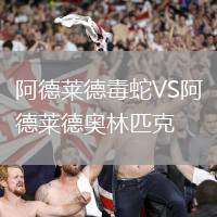 阿德萊德毒蛇VS阿德萊德奧林匹克