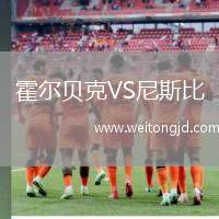 霍爾貝克VS尼斯比