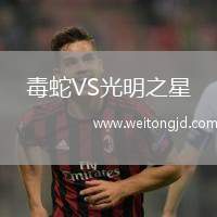 毒蛇VS光明之星