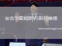 安吉爾霍姆斯VS斯柯維德