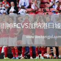 雨神FCVS加納港口城
