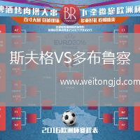 斯夫格VS多布魯察