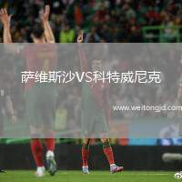 薩維斯沙VS科特威尼克