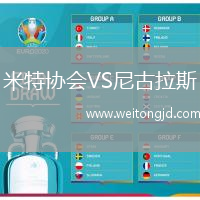 米特協會VS尼古拉斯