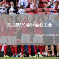 戈亞斯VS費(fèi)羅維亞里亞