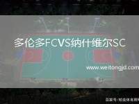 多倫多FCVS納什維爾SC