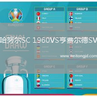 哈努爾SC 1960VS亨費爾德SV