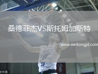 桑德菲杰VS斯托姆加斯特