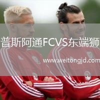 普斯阿通FCVS東端獅