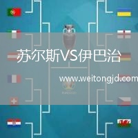 蘇爾斯VS伊巴治