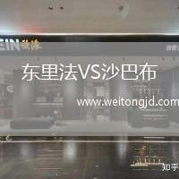 東里法VS沙巴布
