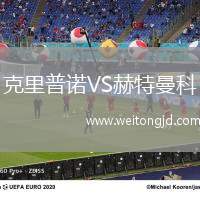 克里普諾VS赫特曼科