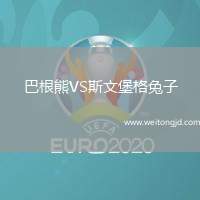 巴根熊VS斯文堡格兔子