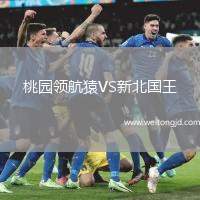 桃園領(lǐng)航猿VS新北國王