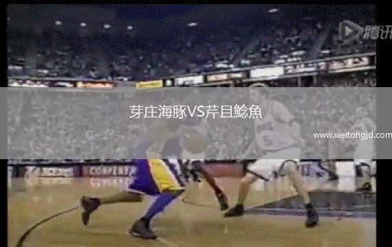 芽莊海豚VS芹且鯰魚