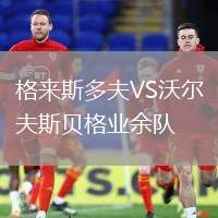 格來斯多夫VS沃爾夫斯貝格業余隊