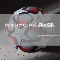 臺灣電力VS臺南鋼鐵綠隊