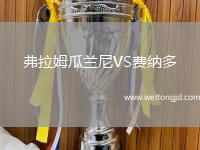 弗拉姆瓜蘭尼VS費(fèi)納多