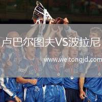 盧巴爾圖夫VS波拉尼