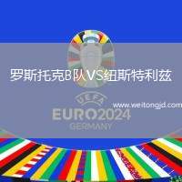 羅斯托克B隊VS紐斯特利茲