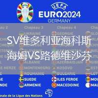 SV維多利亞海科斯海姆VS路德維沙芬